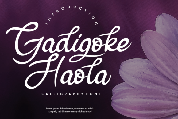 Gadigoke Haola Font