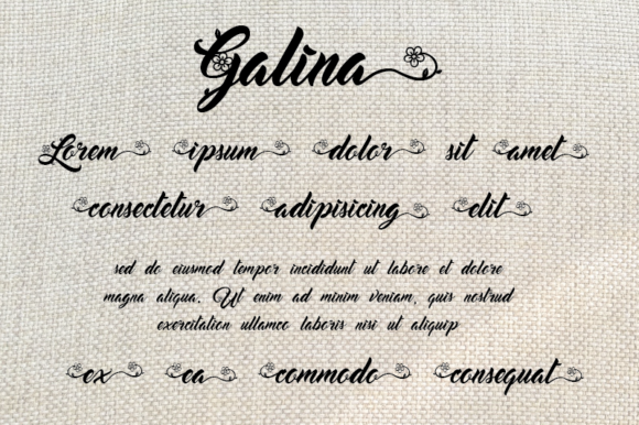 Galina Font Poster 2