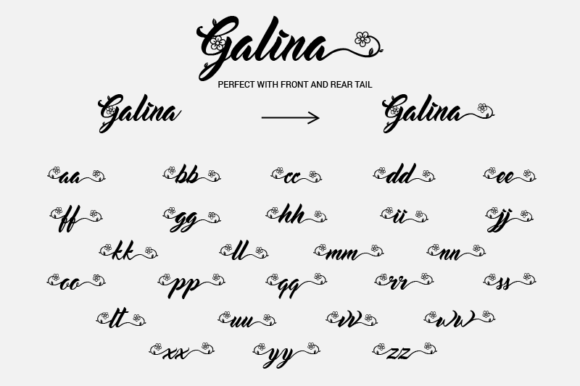 Galina Font Poster 5