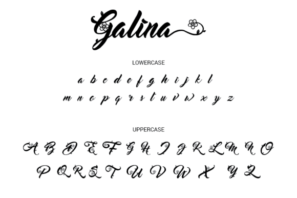 Galina Font Poster 6
