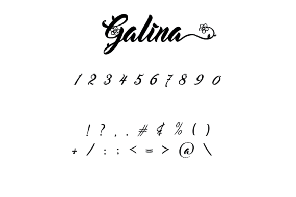 Galina Font Poster 7