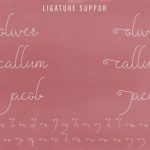 Gamila Font Poster 10