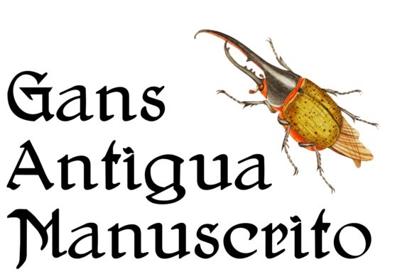 Gans Antigua Manuscrito Font Poster 1