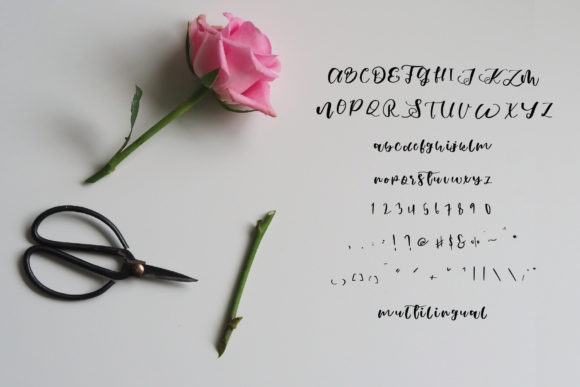 Ginan Font Poster 6
