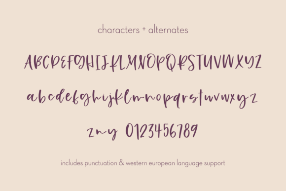 Gingersnap Font Poster 10