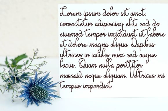 Golden Seed Font Poster 3