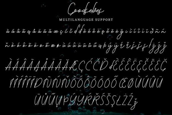 Goodselves Font Poster 8
