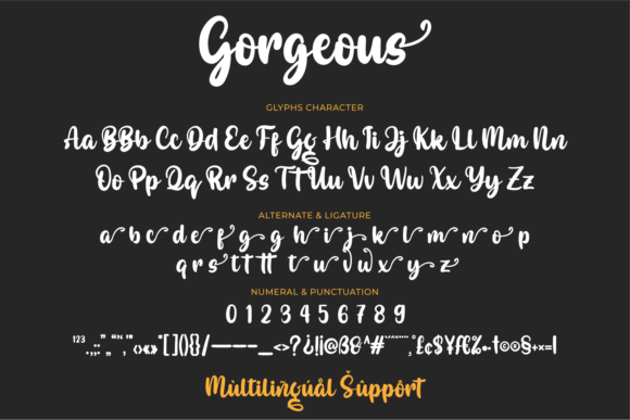 Gorgeous Font Poster 12