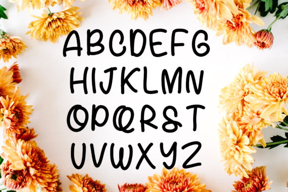 Gracelynn Font Poster 2