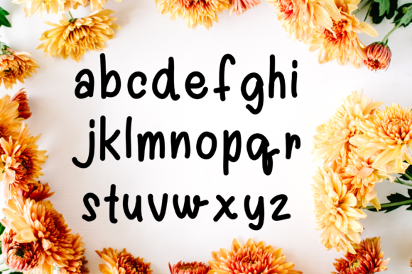 Gracelynn Font Poster 3