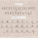 Gratefully Font Poster 13