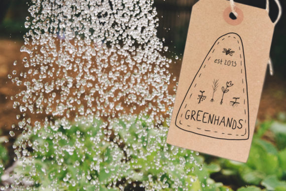 Green Farm Font Poster 7