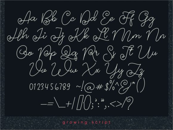 Growing Font Poster 8