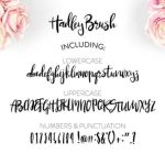 Hadley Brush Font Poster 3