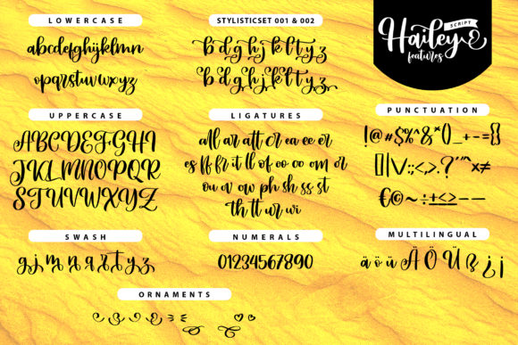 Hailey Font Poster 6