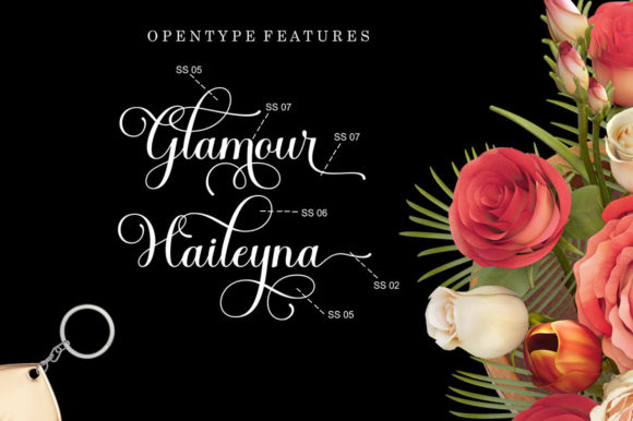 Haileyna Font Poster 7