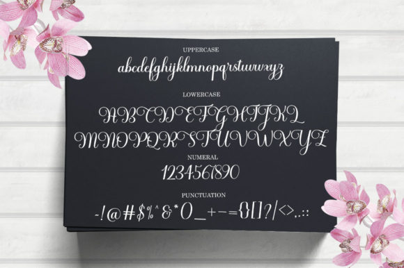 Haileyna Font Poster 8