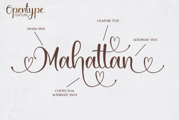 Hamedia Script Font Poster 3