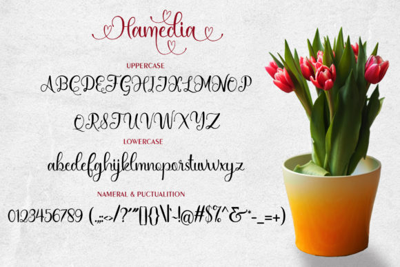 Hamedia Script Font Poster 9