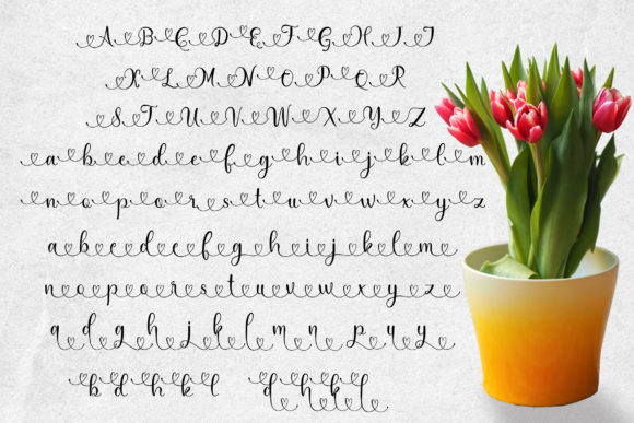 Hamedia Script Font Poster 10