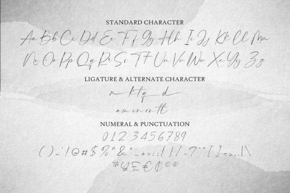 Hammington Signature Font Poster 3