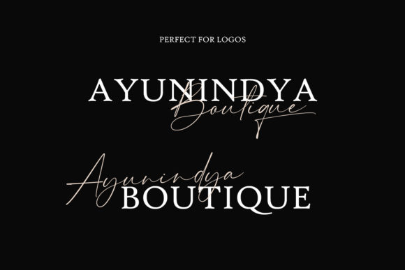 Hammington Signature Font Poster 8