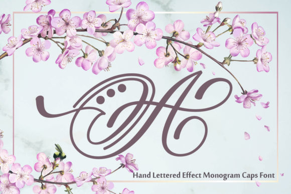 Hand Lettered Effect Monogram Font Poster 1