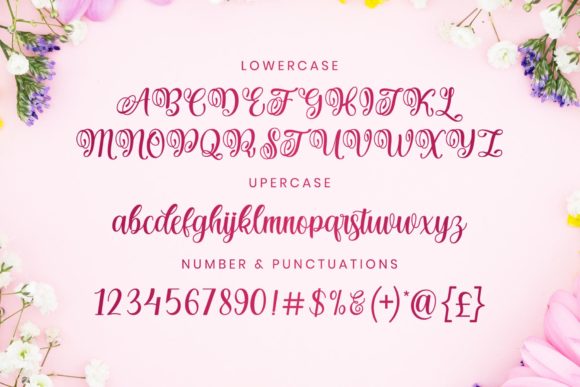 Hanitha Font Poster 3