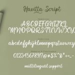 Havitta Font Poster 7