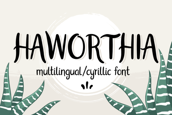 Haworthia Font Poster 1
