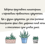 Haworthia Font Poster 4