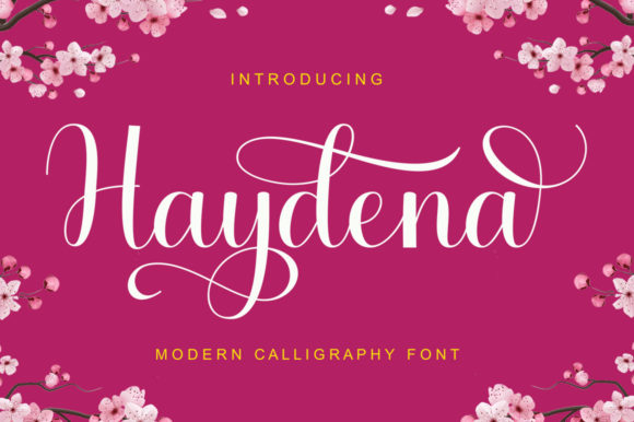 Haydena Font Poster 1