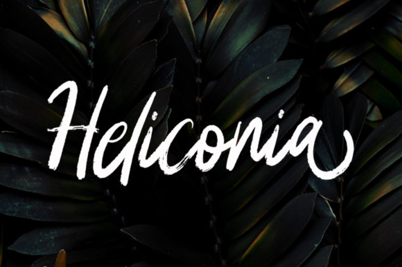 Heliconia Font Poster 1