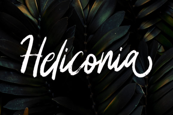 Heliconia Font