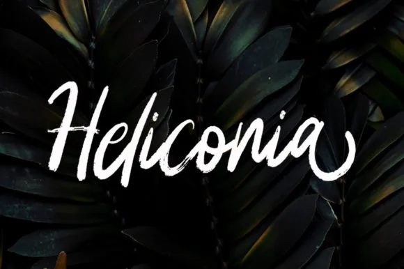 Heliconia Font Poster 1