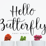 Hello Butterfly Font Poster 1