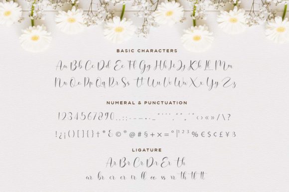 Hello Daisy Font Poster 8