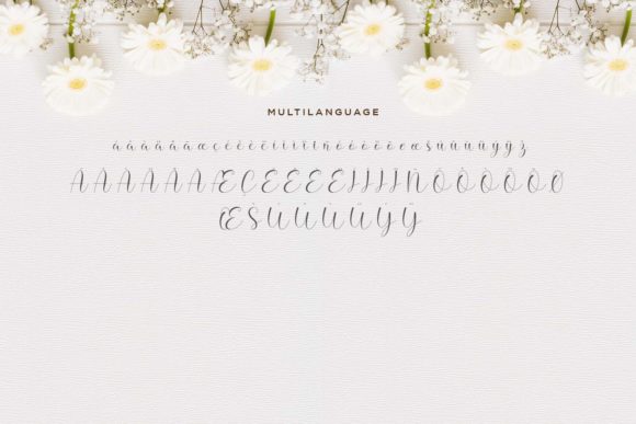 Hello Daisy Font Poster 9