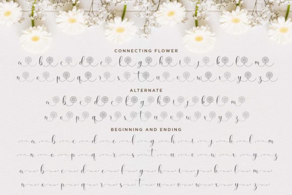 Hello Daisy Font Poster 10
