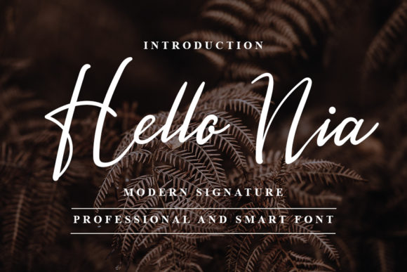 Hello Nia Font Poster 1