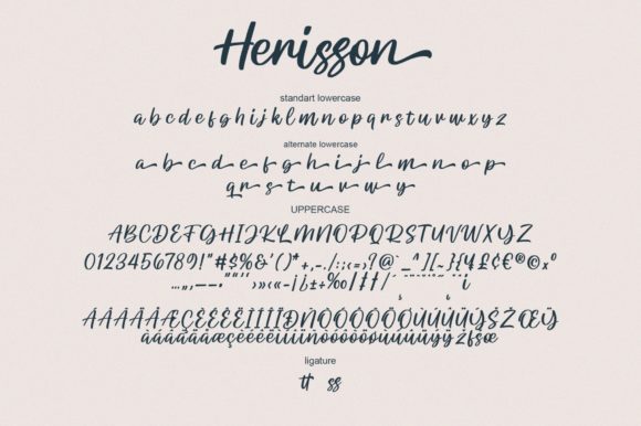 Herisson Font Poster 7