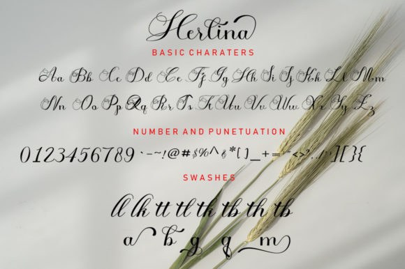 Herlina Font Poster 4