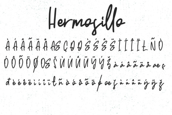 Hermosillo Font Poster 6