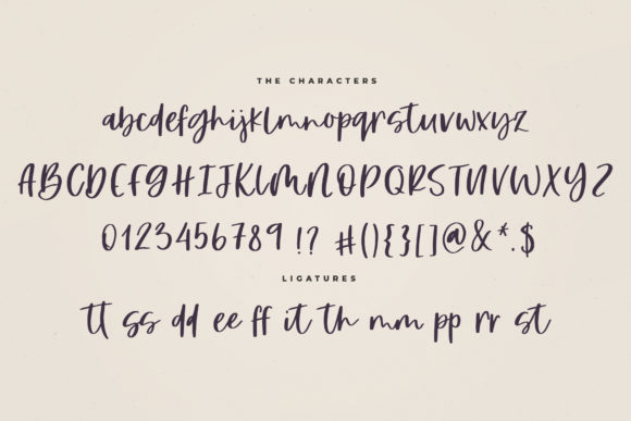 Hey Babes Font Poster 7