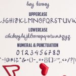 Hey Kinsey Font Poster 5