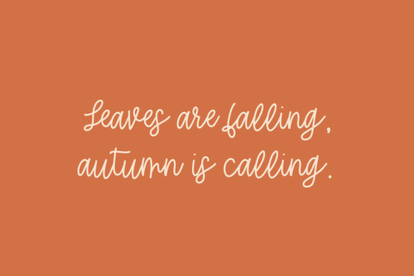 Hey Pumpkin Font Poster 4