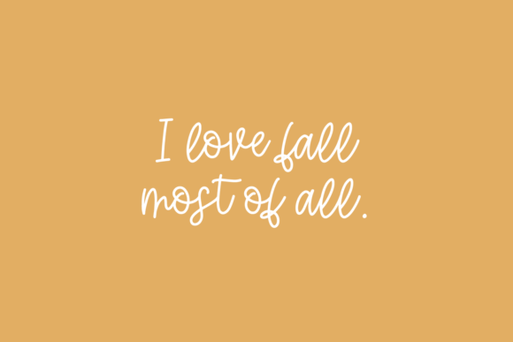 Hey Pumpkin Font Poster 8