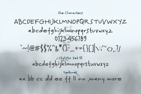 Hidalgo Font Poster 5