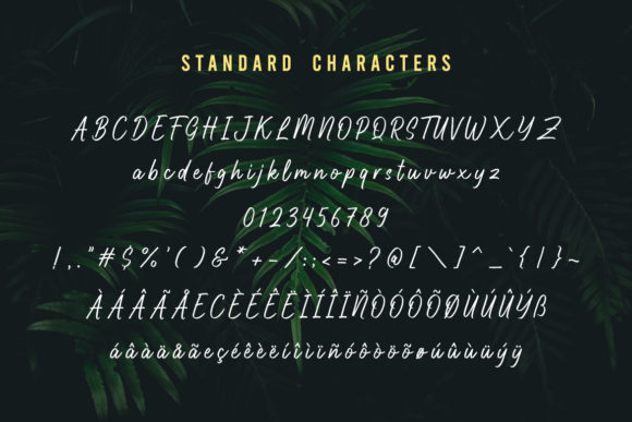 Highnorth Font Poster 6