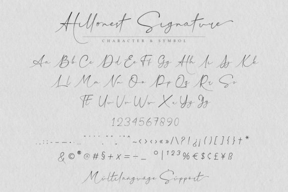 Hillonest Signature Font Poster 11